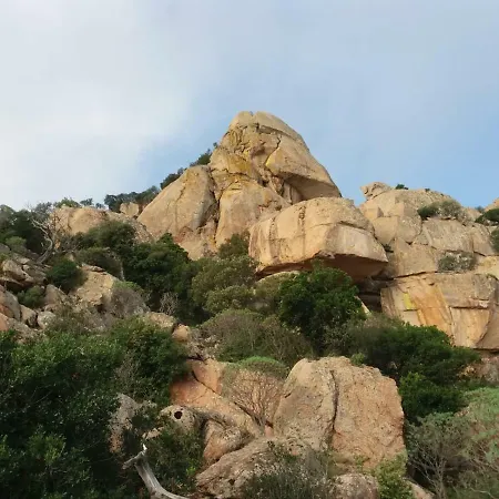 Montearista