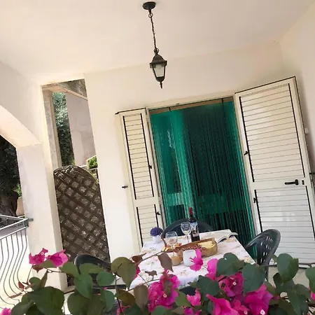Montearista *