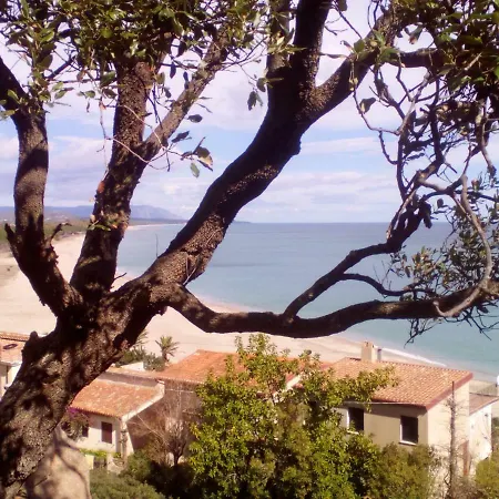 Montearista *