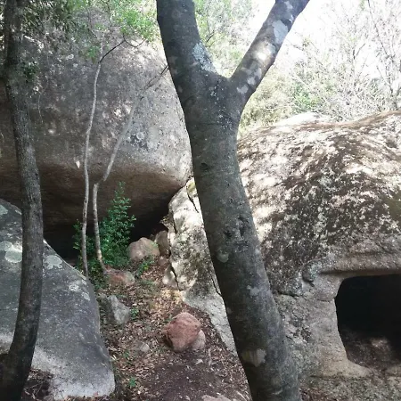 Montearista