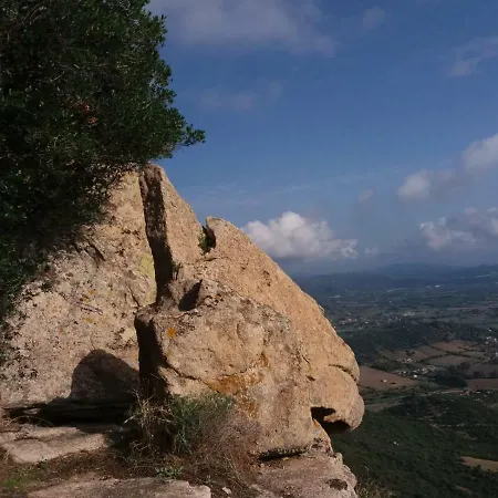 Montearista *